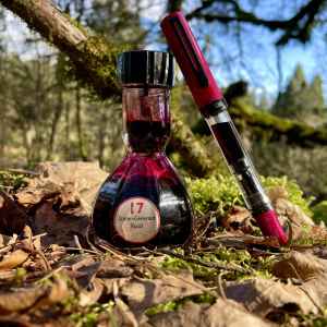 Plum TWSBI Eco (Extra Fine) filled with Akkerman #17 Staaten-Generaal Rood